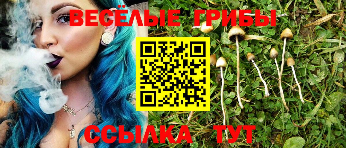 Белореченск  Галлюциногенные грибы Psilocybe  Псилоцибиновые грибы прущие грибы  Вход с VPN 